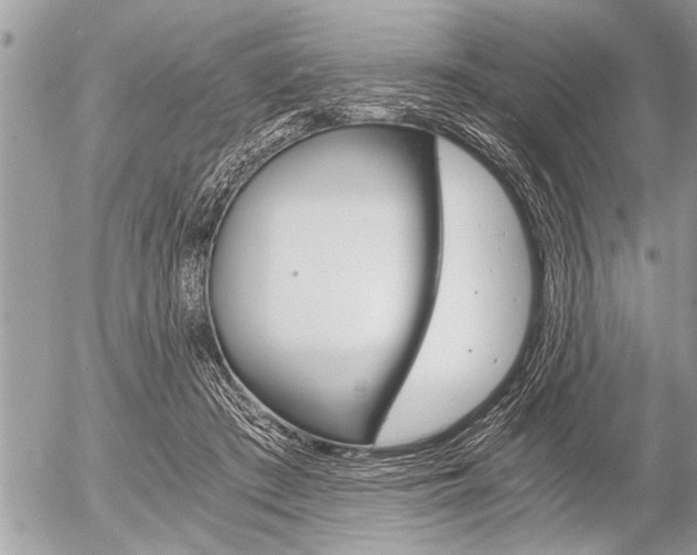 X0000058820409200509300920