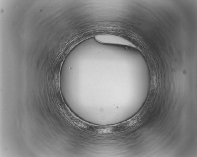 X0000058820411200509300920