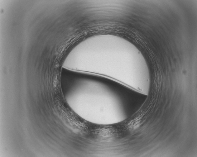 X0000058820412200509300920