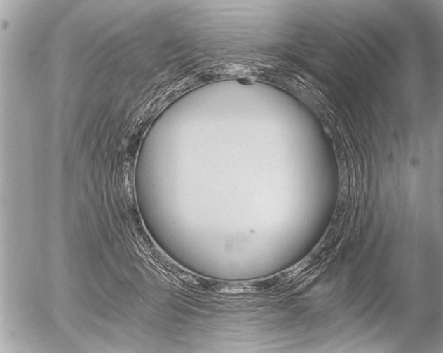 X0000058820415200509300920