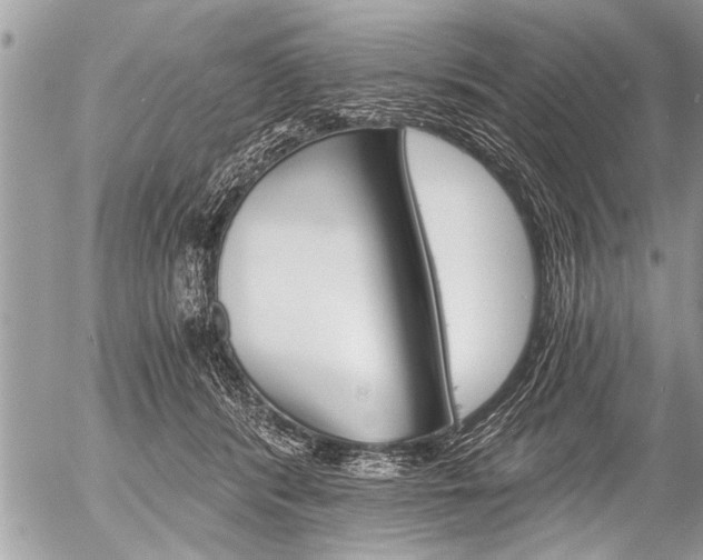 X0000058820416200509300920