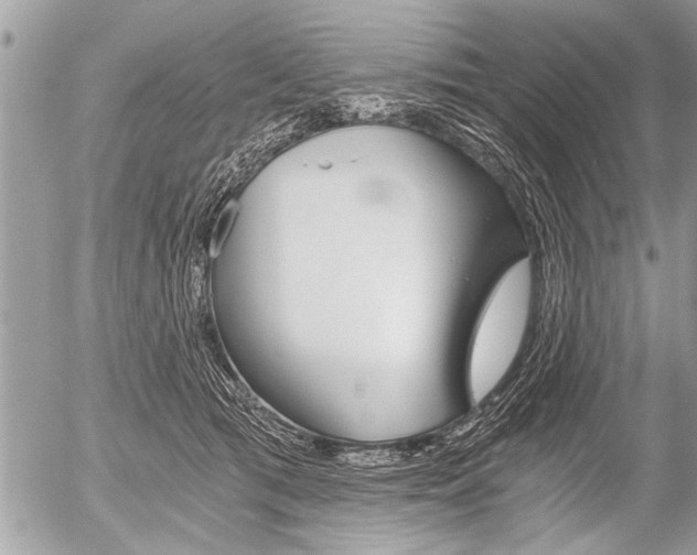 X0000058820417200509300920