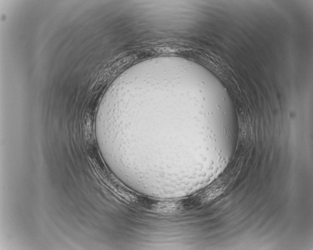 X0000058820418200509300920