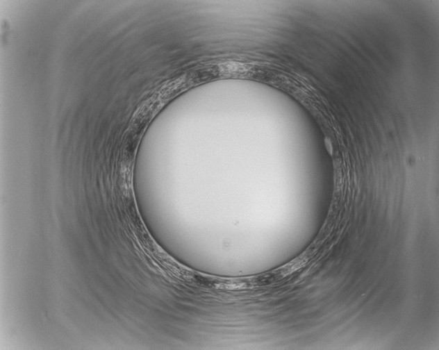 X0000058820419200509300920