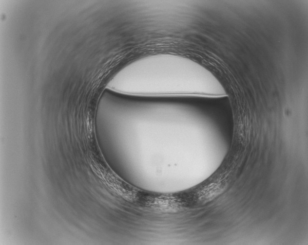 X0000058820420200509300920