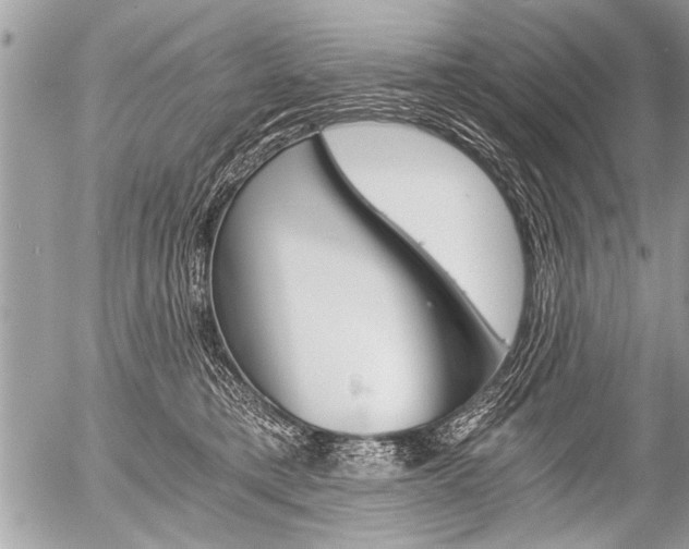 X0000058820421200509300920