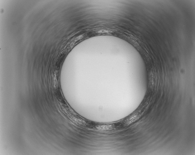 X0000058820422200509300920