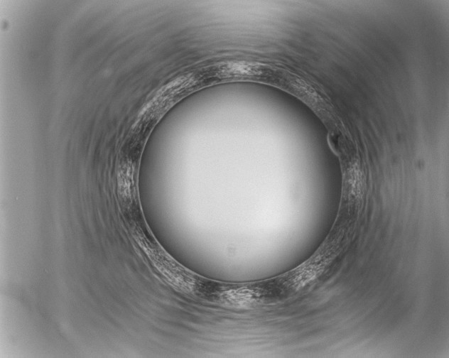 X0000058820423200509300920