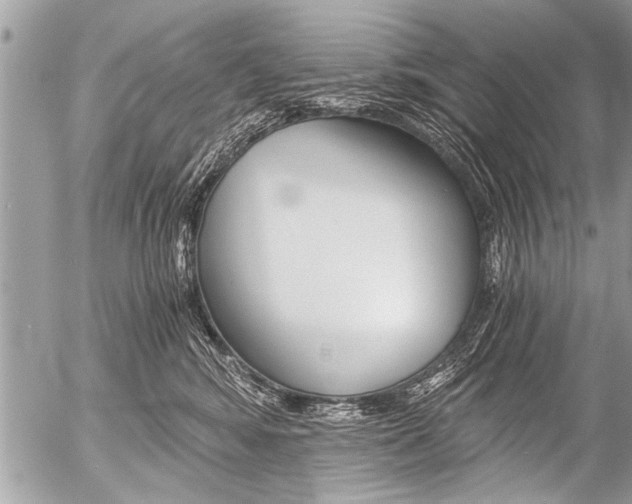 X0000058820424200509300920