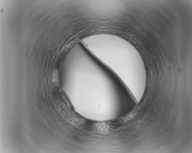 X0000058820425200509300920