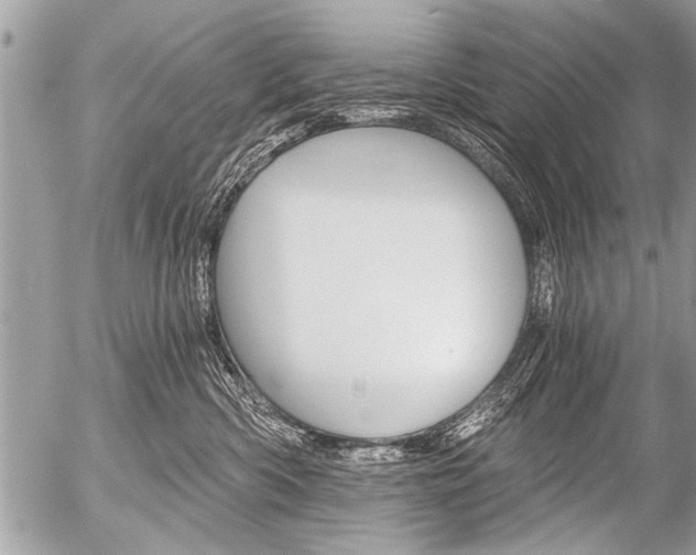 X0000058820426200509300920