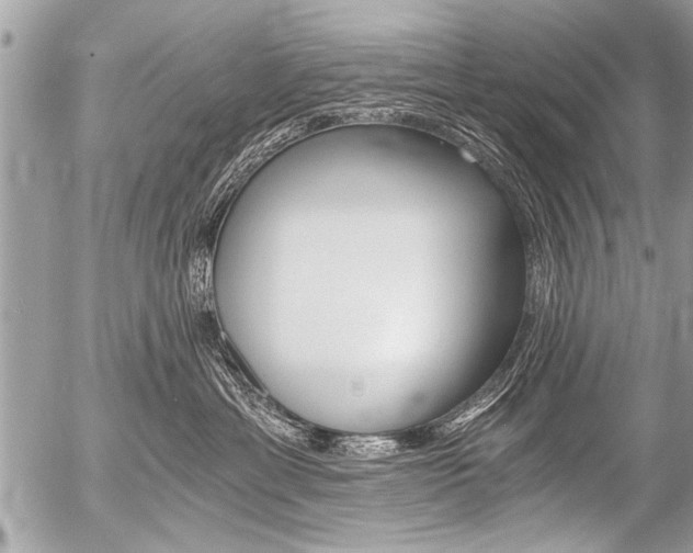 X0000058820429200509300920