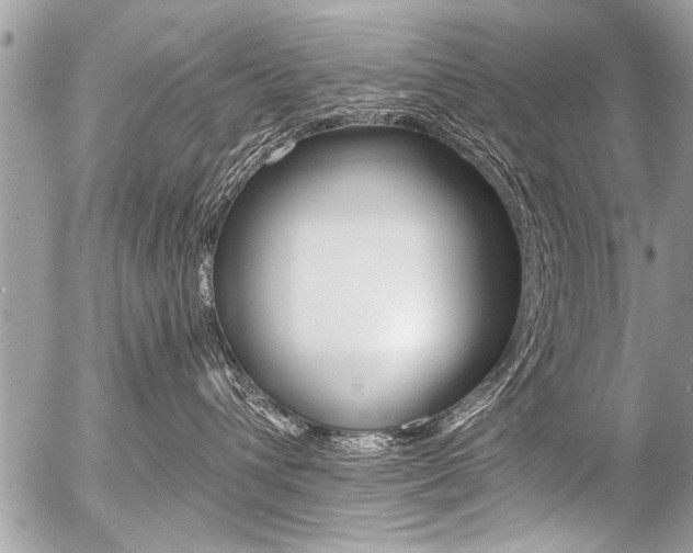 X0000058820432200509300920