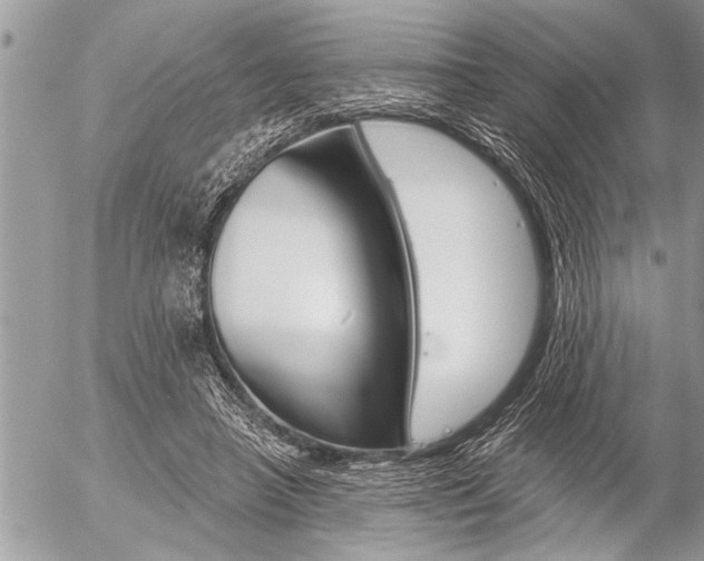 X0000058820450200509300920