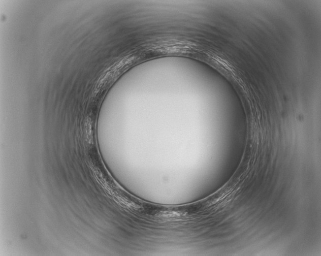 X0000058820453200509300920