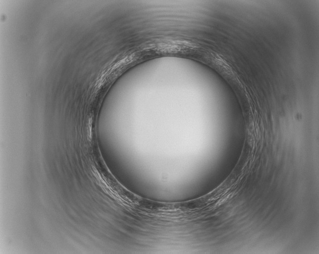 X0000058820454200509300920