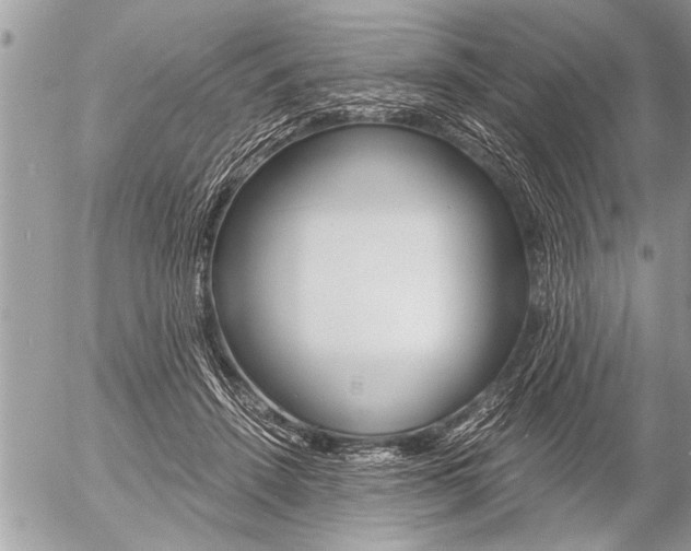 X0000058820456200509300920