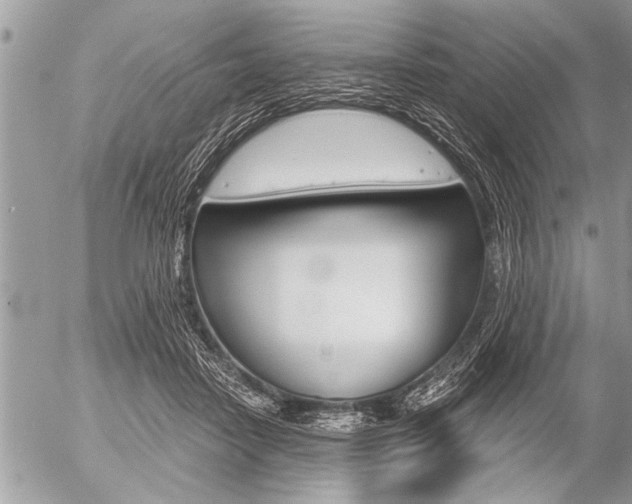 X0000058820458200509300920