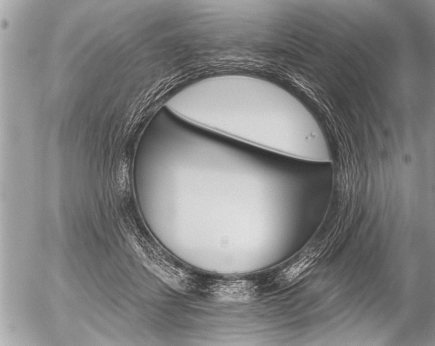 X0000058820459200509300920