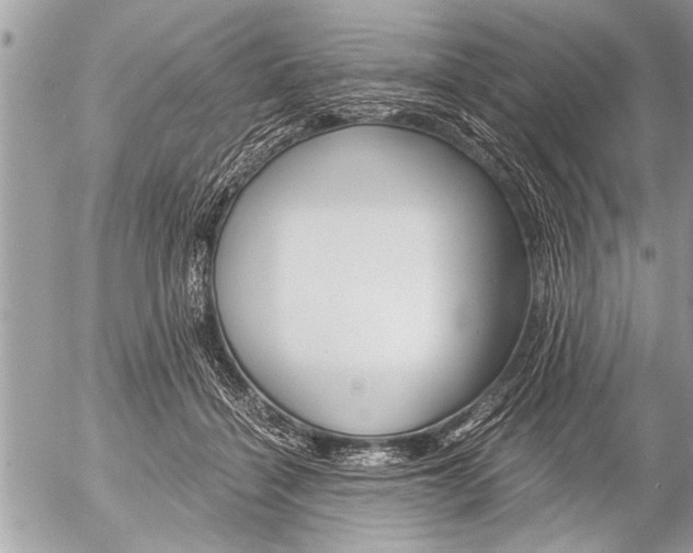 X0000058820460200509300920