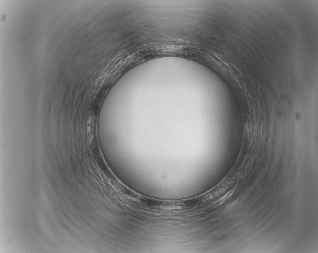 X0000058820462200509300920