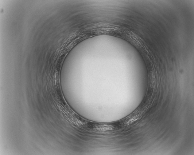 X0000058820463200509300920