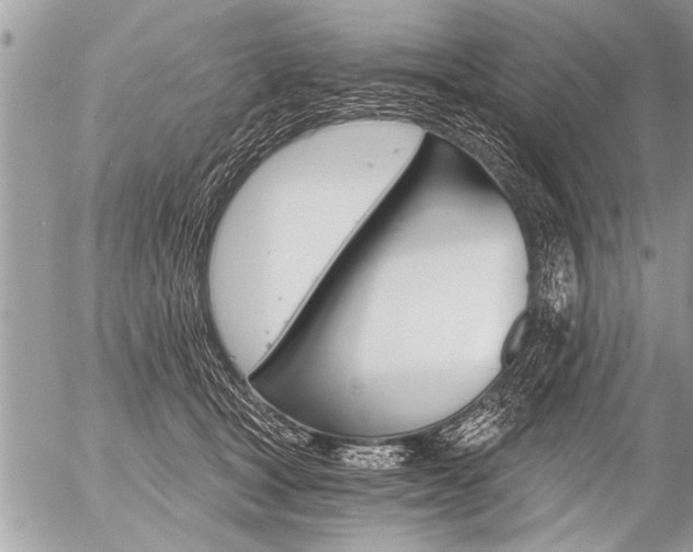 X0000058820465200509300920