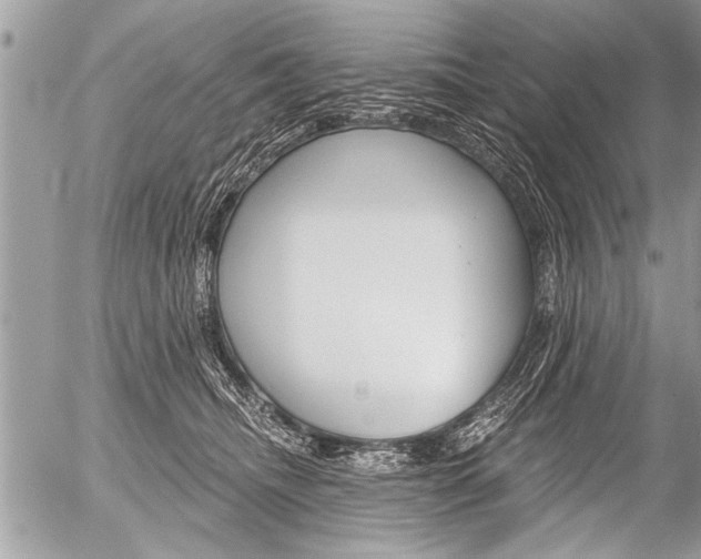 X0000058820468200509300920