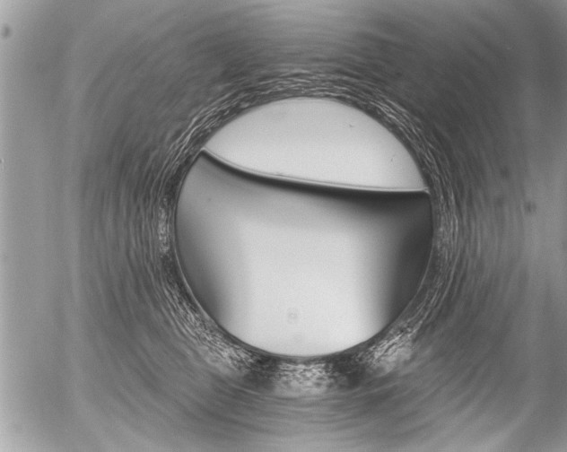 X0000058820469200509300920