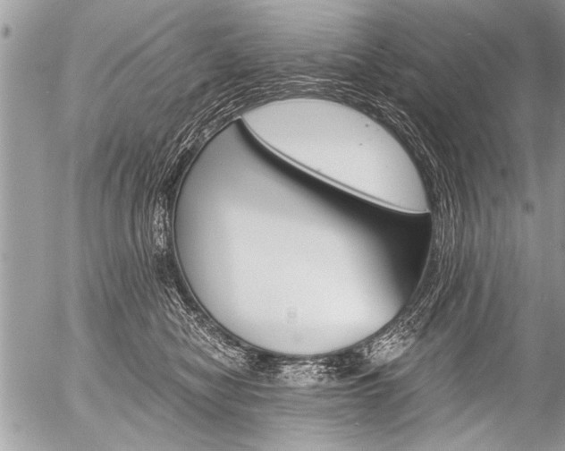 X0000058820470200509300920