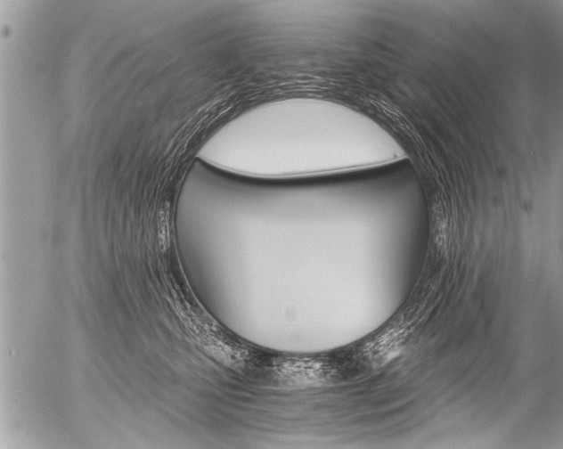 X0000058820471200509300920