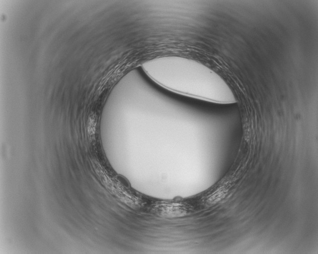 X0000058820472200509300920