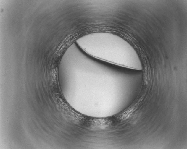 X0000058820473200509300920