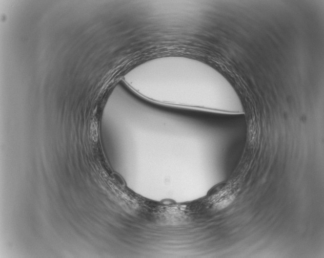 X0000058820474200509300920