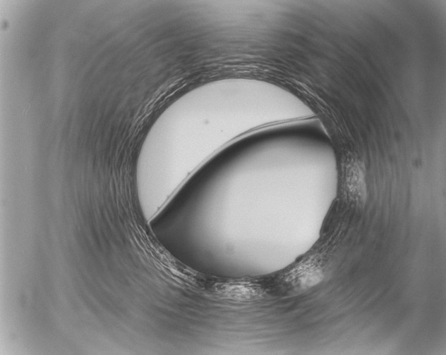 X0000058820475200509300920