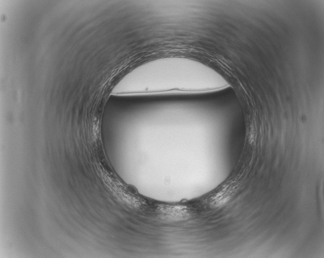 X0000058820476200509300920