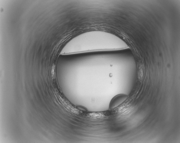 X0000058820477200509300920