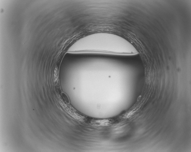 X0000058820478200509300920