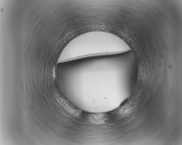 X0000058820479200509300920