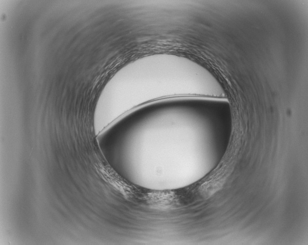 X0000058820480200509300920