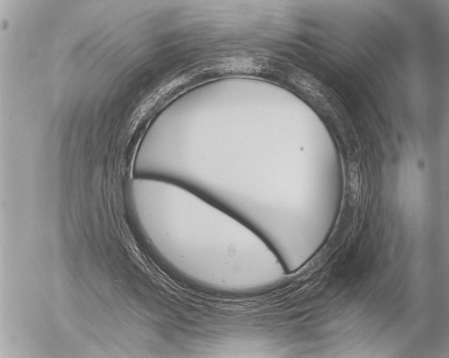 X0000058820487200509300919
