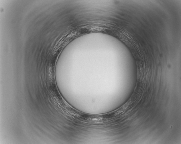 X0000058820506200509300919