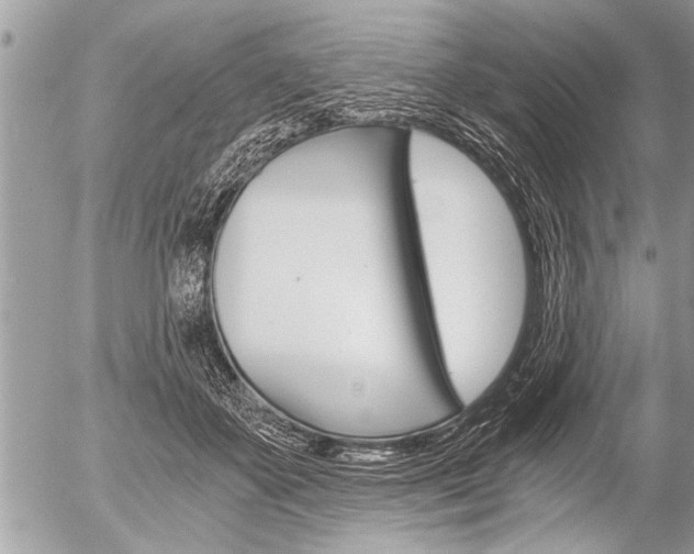 X0000058820507200509300919