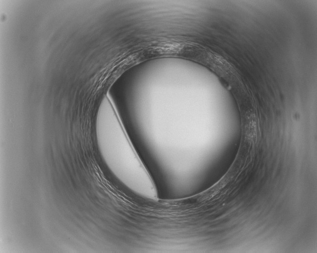 X0000058820604200509300917
