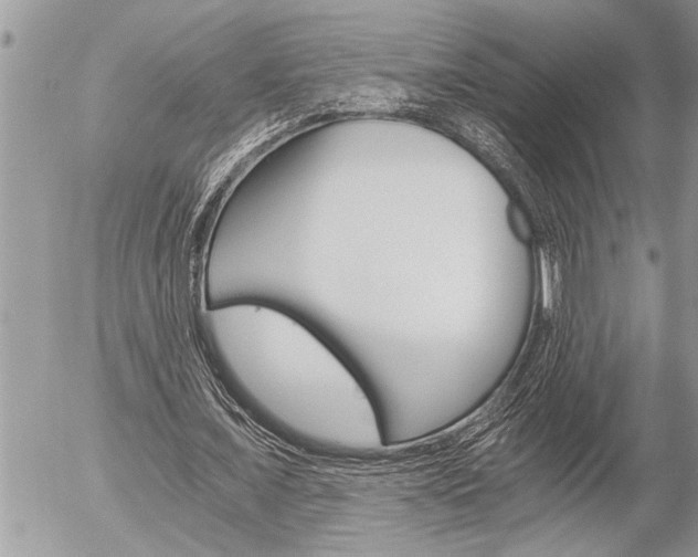 X0000058820675200509300916