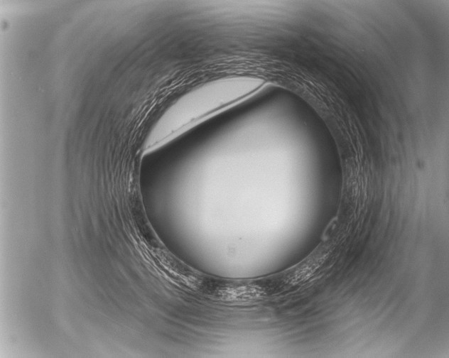 X0000058820752200509300915