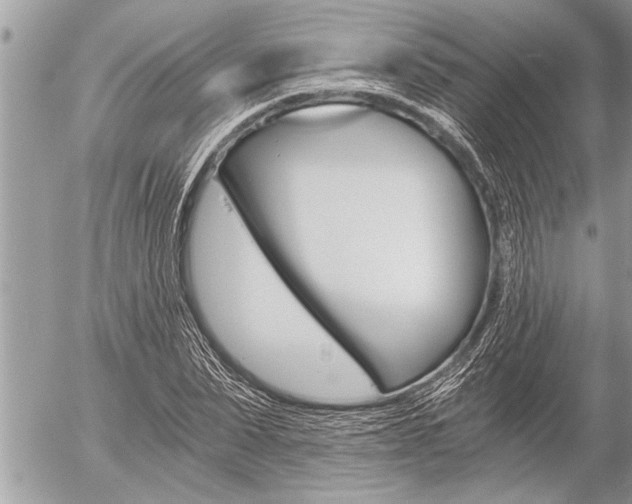 X0000058820879200509300913