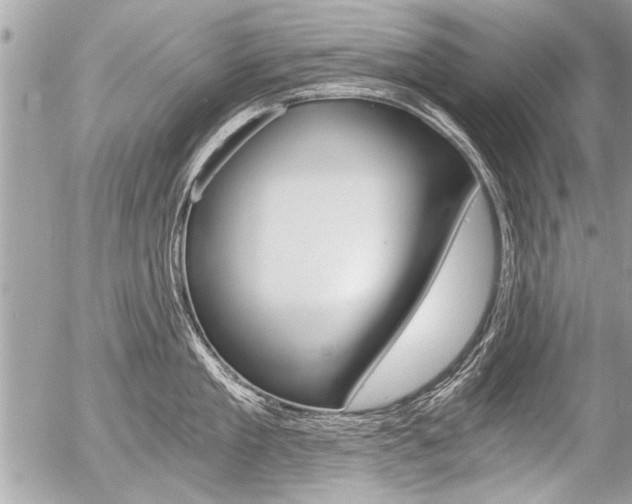 X0000058820909200509300912