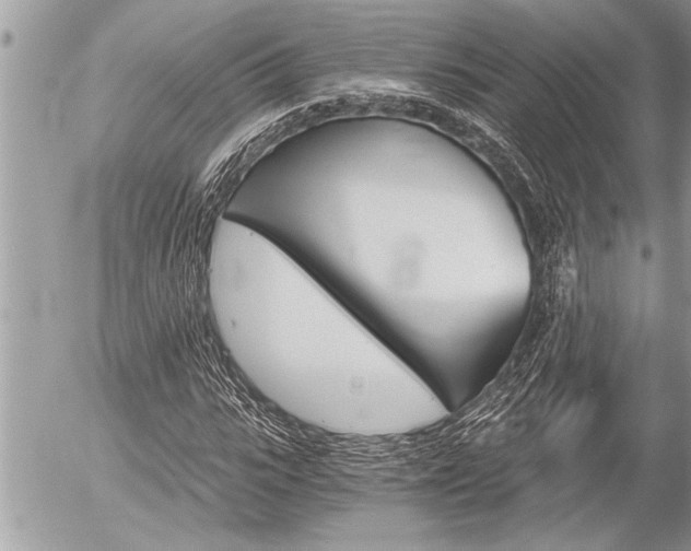 X0000058820919200509300911