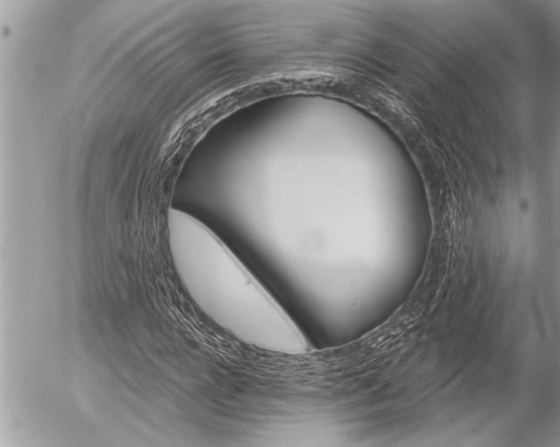 X0000058820920200509300911